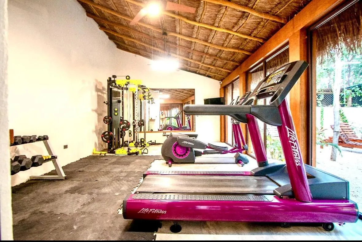 Penthouse Maxia Serenidad Y Comfort Tulum Apartment