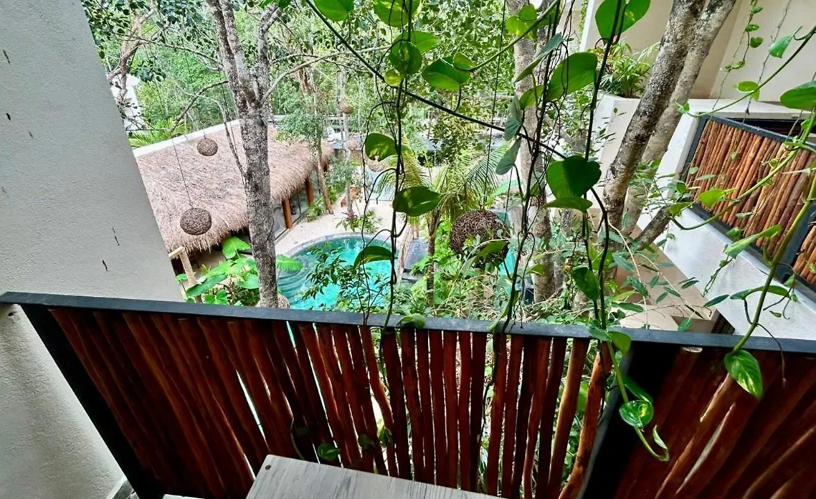 Penthouse Maxia Serenidad Y Comfort Tulum Apartment