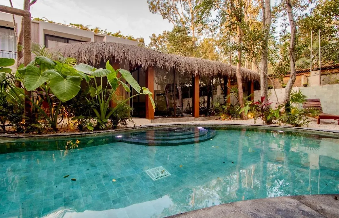 Penthouse Maxia Serenidad Y Comfort Tulum